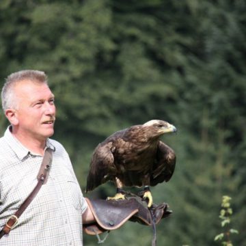 Familienausflug Pfänder 2011