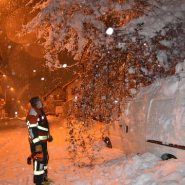 Ast über der Strasse an der Industriestrasse